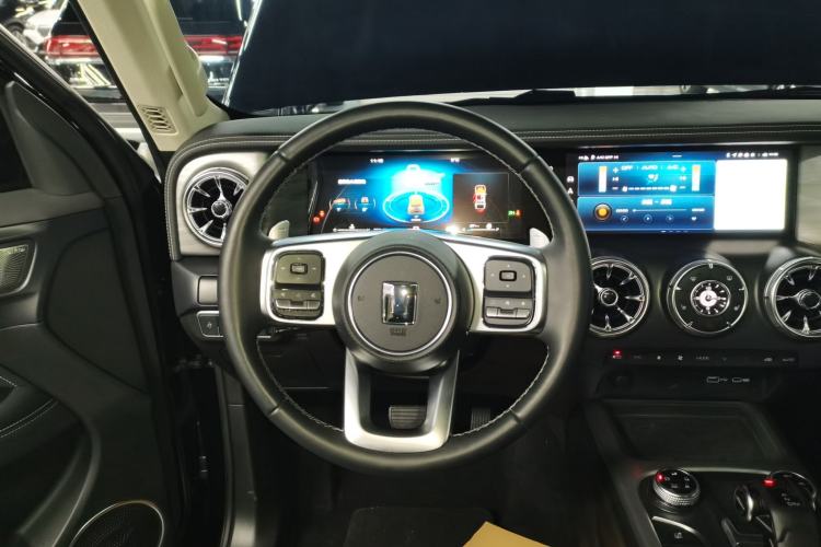 Used Tank 300 2024 2.0T Conqueror Steering Wheel