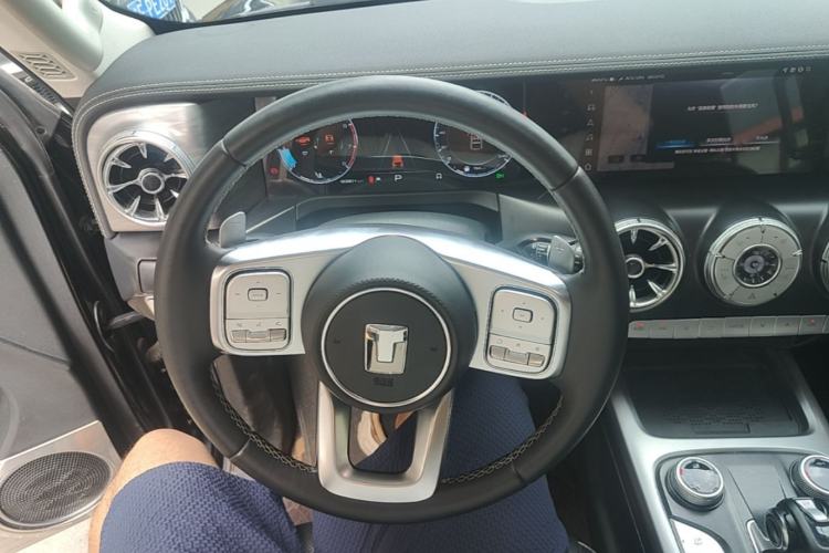 Used Tank 300 2024 2.0T Conqueror Steering Wheel