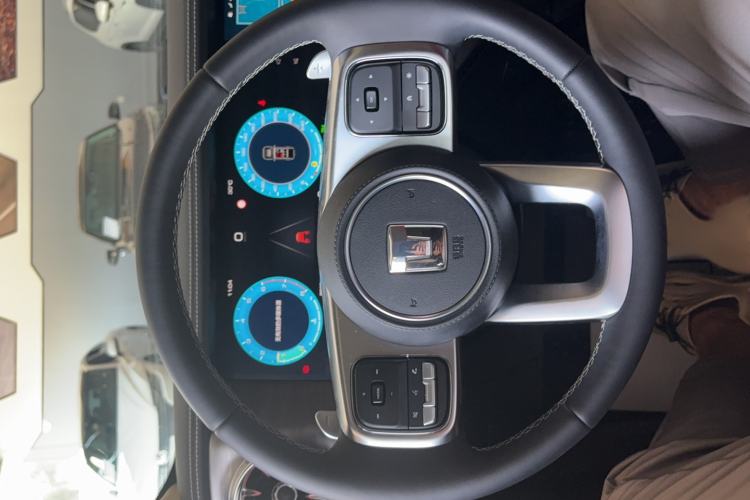 Used Tank 300 2024 2.0T Conqueror Steering Wheel