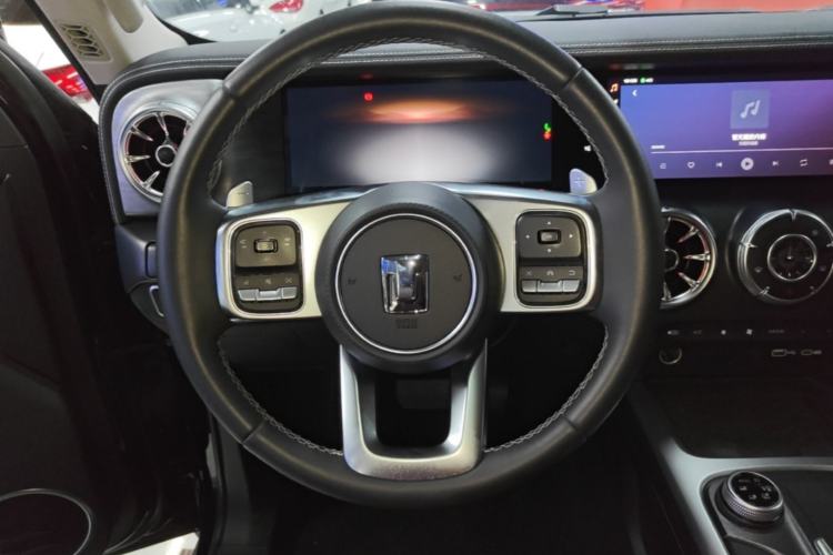 Used Tank 300 2024 2.0T Crosser Steering Wheel