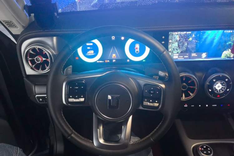 Used Tank 300 2024 2.0T 3rd Anniversary Limited Edition Steering Wheel
