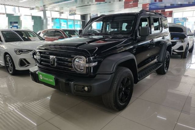 Used Tank 300 2024 2.0T Conqueror
