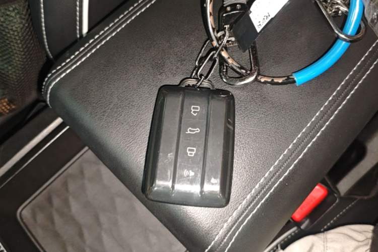 Used Tank 300 2024 2.0T Conqueror Vehicle Key