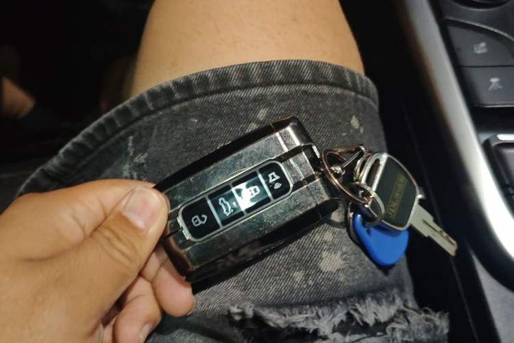 Used Tank 300 2024 2.0T Challenger Vehicle Key