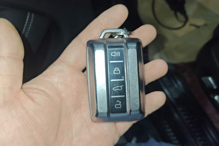 Used Tank 300 2024 2.0T Crosser Vehicle Key