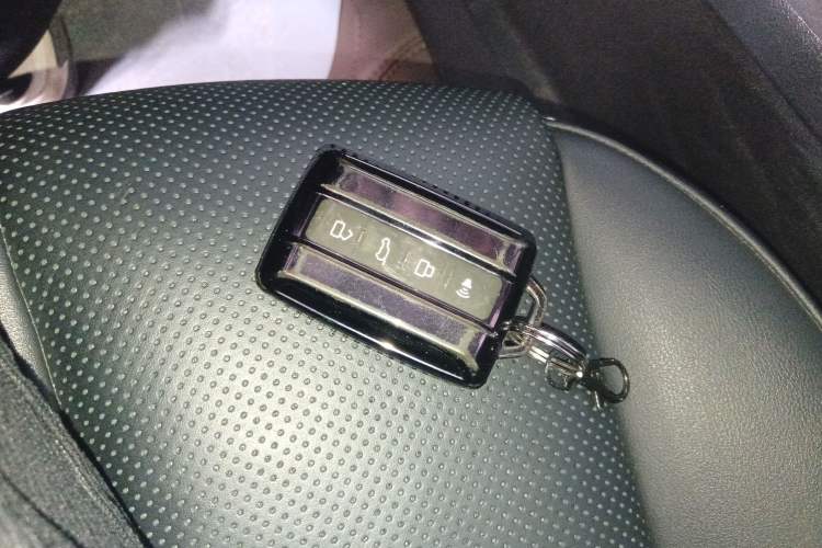 Used Tank 300 2024 2.0T Crosser Vehicle Key
