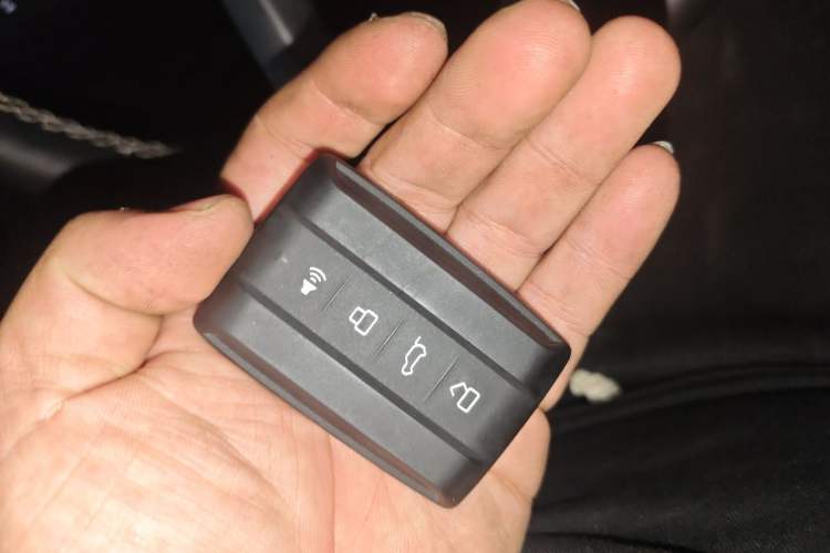 Used Tank 300 2024 2.0T Conqueror Vehicle Key