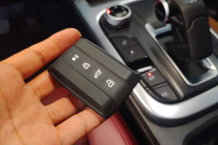 Used Tank 300 2024 2.0T Conqueror Vehicle Key