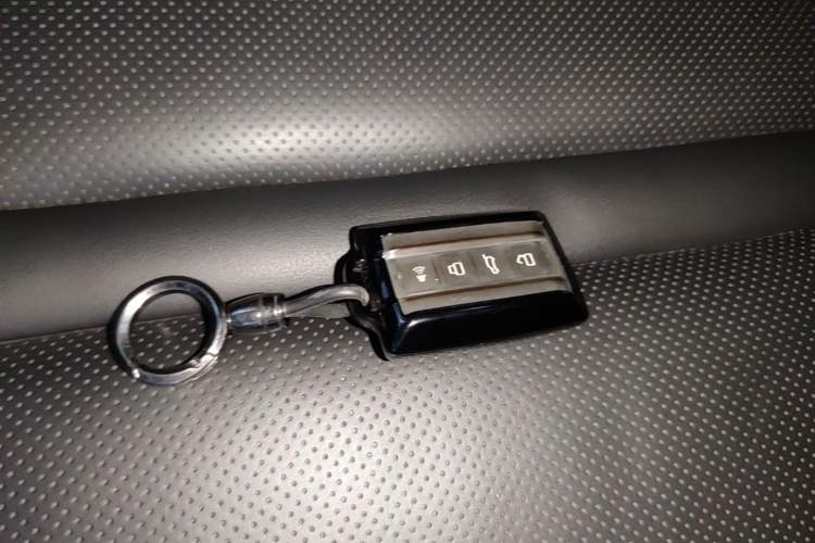 Used Tank 300 2024 2.0T Conqueror Vehicle Key