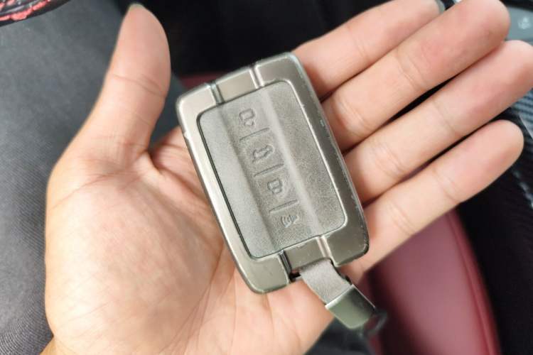 Used Tank 300 2024 2.0T Conqueror Vehicle Key