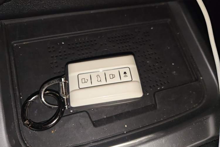 Used Tank 300 2024 2.0T Conqueror Vehicle Key