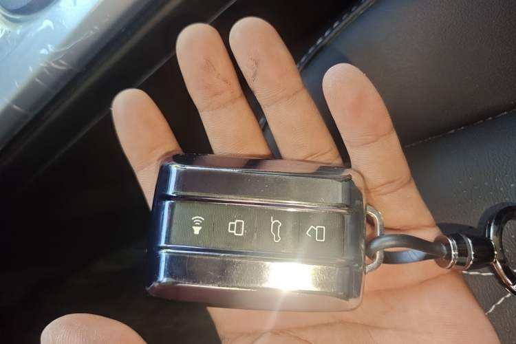Used Tank 300 2024 2.0T Challenger Vehicle Key