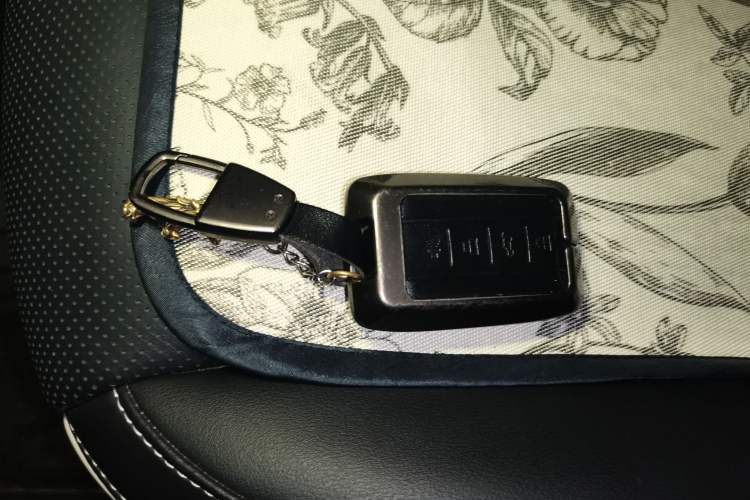 Used Tank 300 2024 2.0T Conqueror Vehicle Key