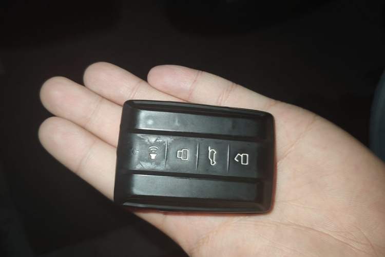 Used Tank 300 2024 2.0T Crosser Vehicle Key