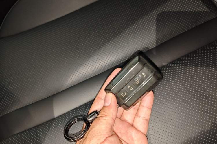 Used Tank 300 2024 2.0T Conqueror Vehicle Key