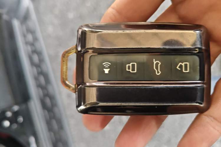 Used Tank 300 2024 2.0T Conqueror Vehicle Key