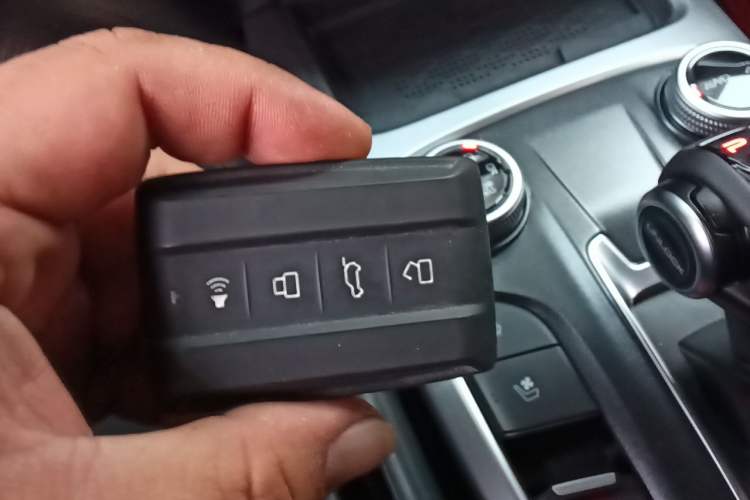 Used Tank 300 2024 2.0T Crosser Vehicle Key
