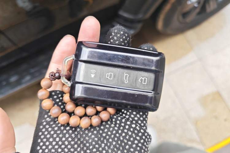 Used Tank 300 2024 2.0T Conqueror Vehicle Key