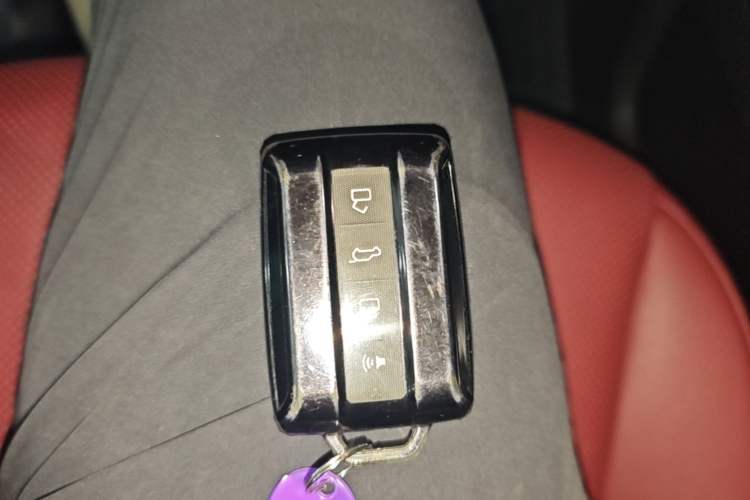 Used Tank 300 2024 2.0T Crosser Vehicle Key
