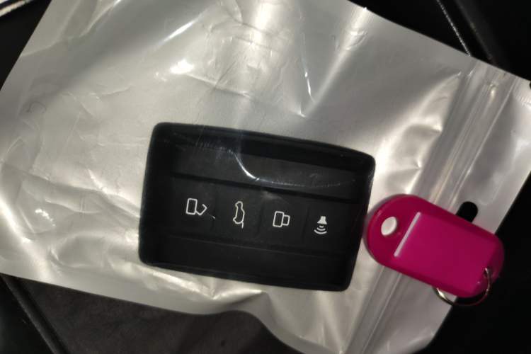 Used Tank 300 2024 2.0T Conqueror Vehicle Key