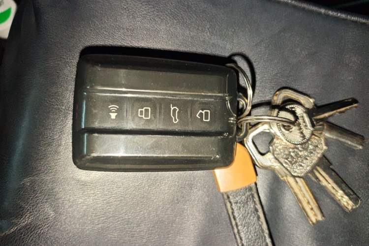 Used Tank 300 2024 2.0T Conqueror Vehicle Key