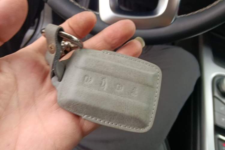 Used Tank 300 2024 2.0T Challenger Vehicle Key