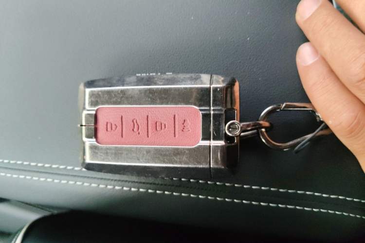 Used Tank 300 2024 2.0T Conqueror Vehicle Key