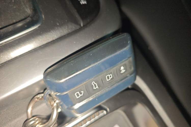 Used Tank 300 2024 2.0T Conqueror Vehicle Key