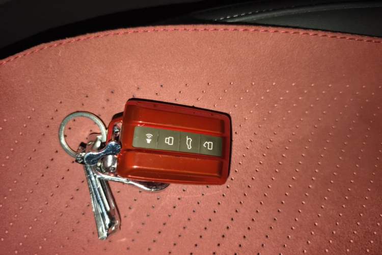 Used Tank 300 2024 2.0T Conqueror Vehicle Key