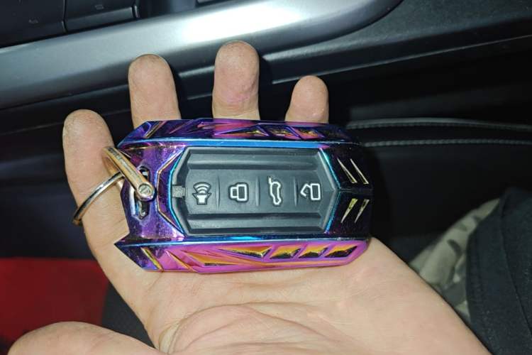 Used Tank 300 2024 2.0T Conqueror Vehicle Key