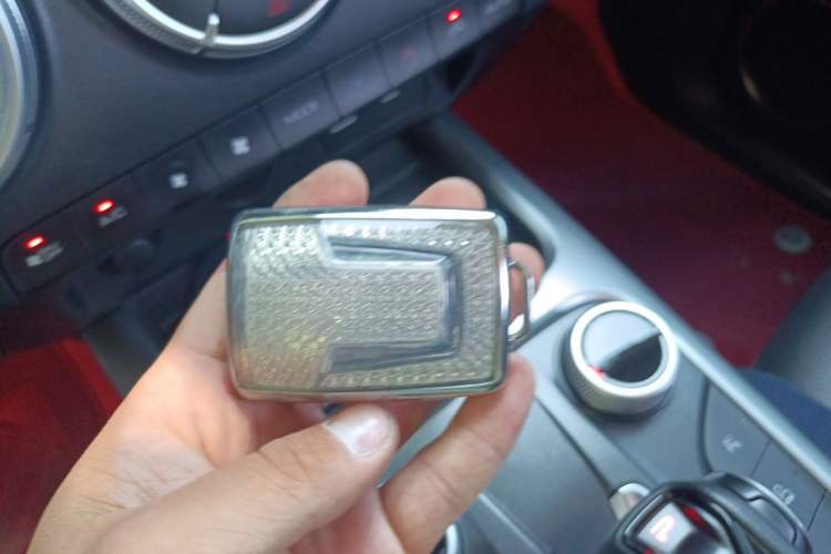Used Tank 300 2024 2.0T Conqueror Vehicle Key