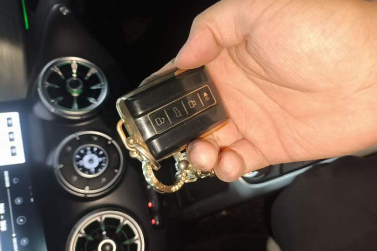 Used Tank 300 2024 2.0T Conqueror Vehicle Key