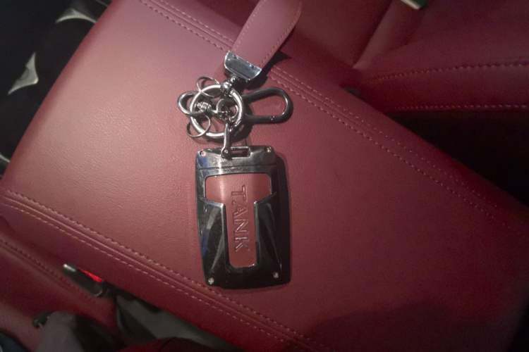 Used Tank 300 2024 2.0T 3rd Anniversary Limited Edition Vehicle Key