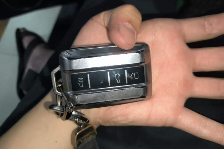Used Tank 300 2024 2.0T Conqueror Vehicle Key