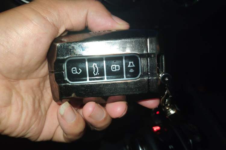 Used Tank 300 2024 2.0T Challenger Vehicle Key