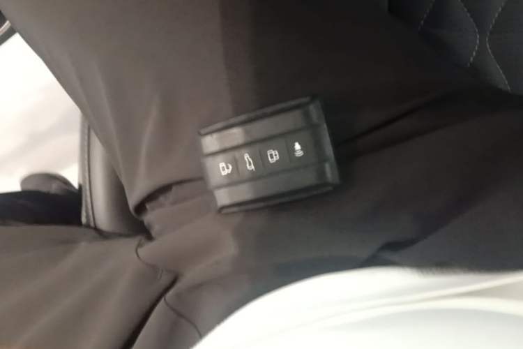 Used Tank 300 2024 2.0T Challenger Vehicle Key