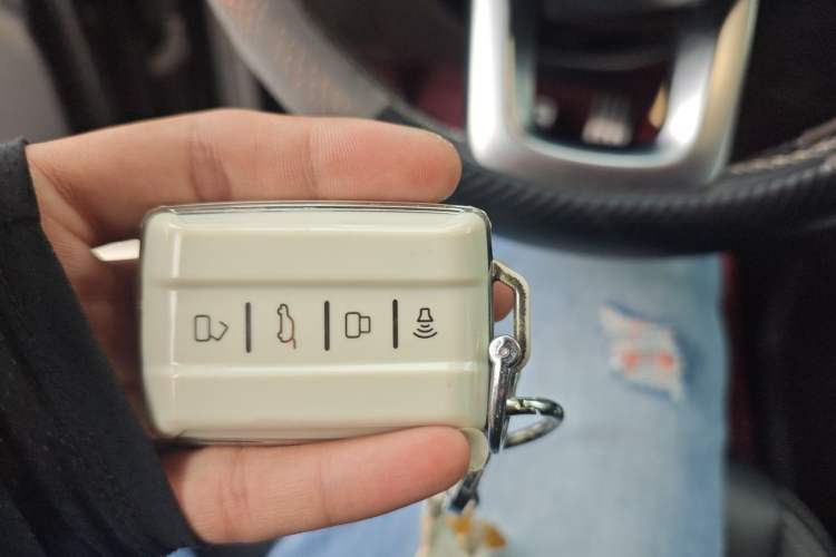Used Tank 300 2024 2.0T Conqueror Vehicle Key