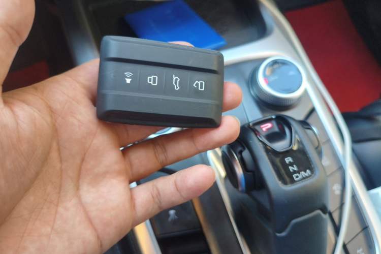 Used Tank 300 2024 2.0T Challenger Vehicle Key
