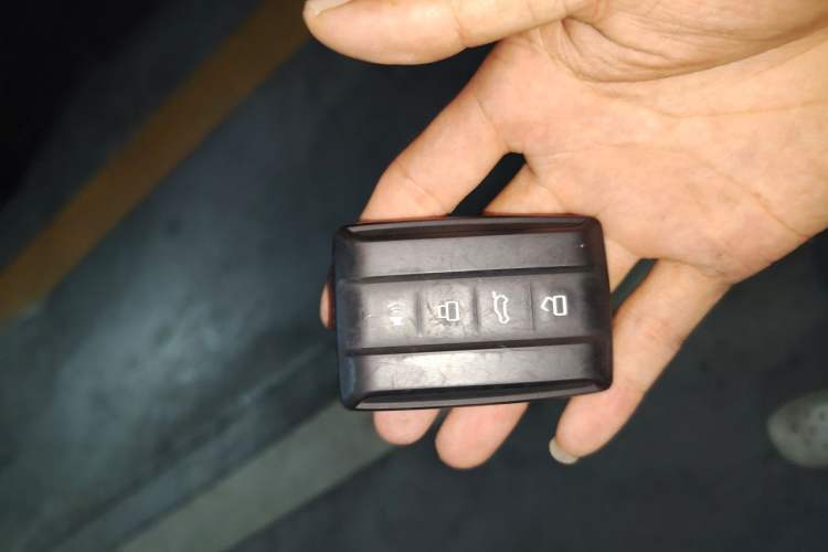 Used Tank 300 2024 2.0T Conqueror Vehicle Key