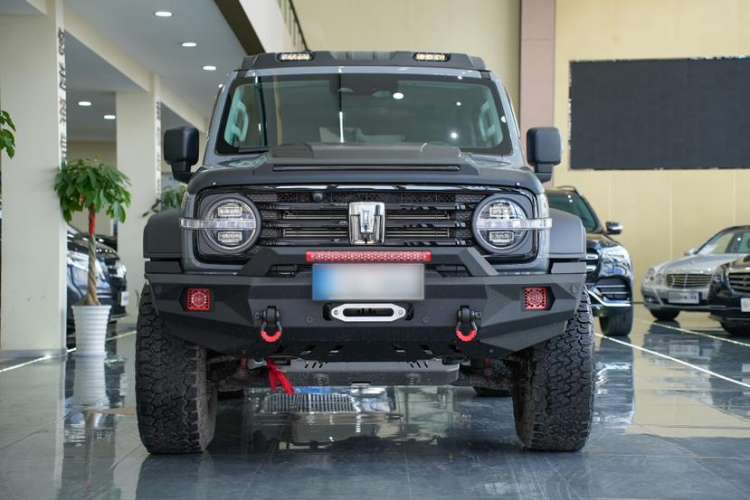 Used Tank 300 2024 2.0T Conqueror Exterior 4