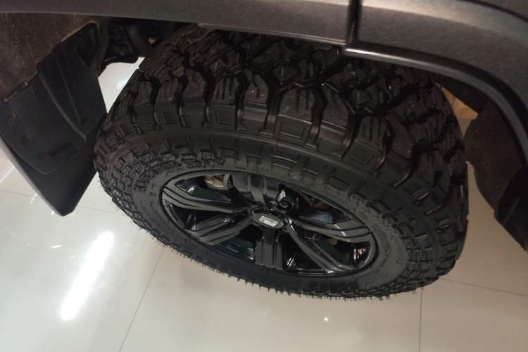 Used Tank 300 2024 2.0T Conqueror Exterior 8