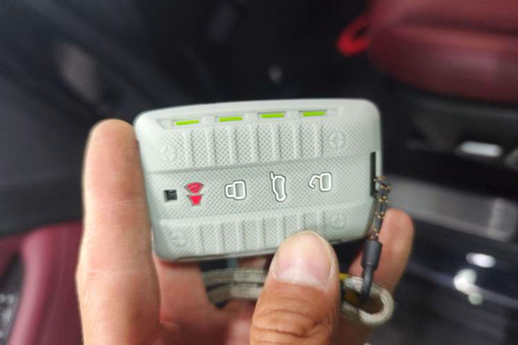 Used Tank 300 2024 2.0T Conqueror Interior 1
