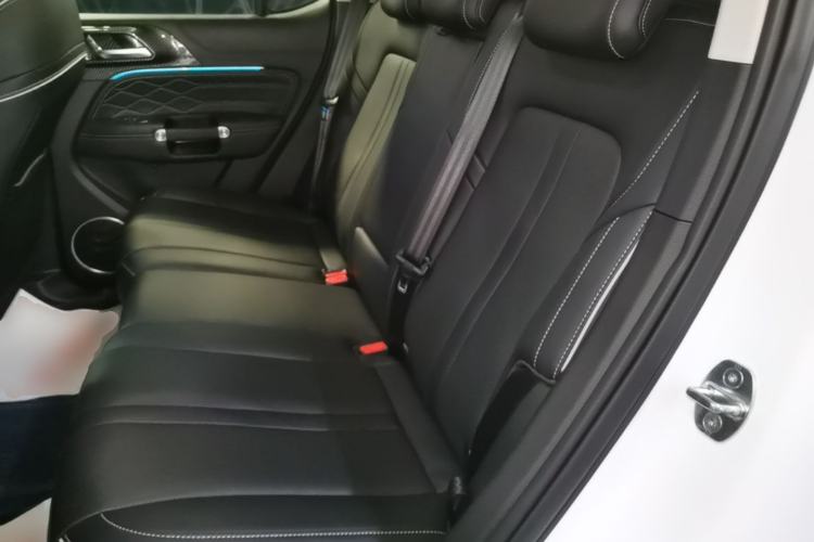 Used Tank 300 2024 2.0T Crosser Left Rear Seat