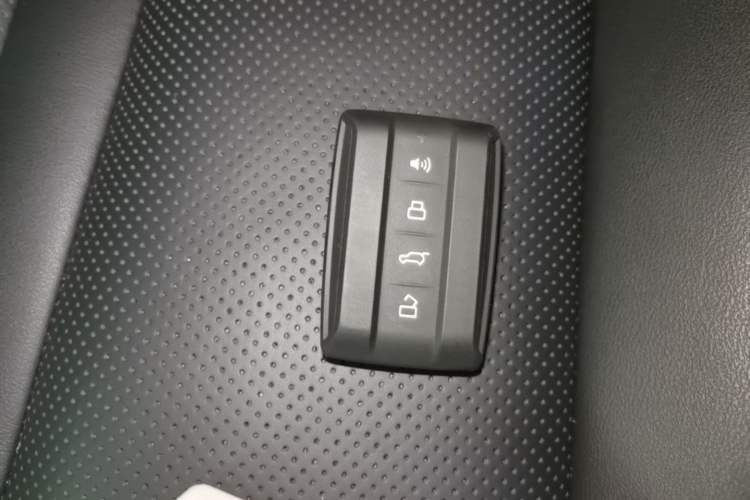 Used Tank 300 2024 2.0T Crosser Vehicle Key