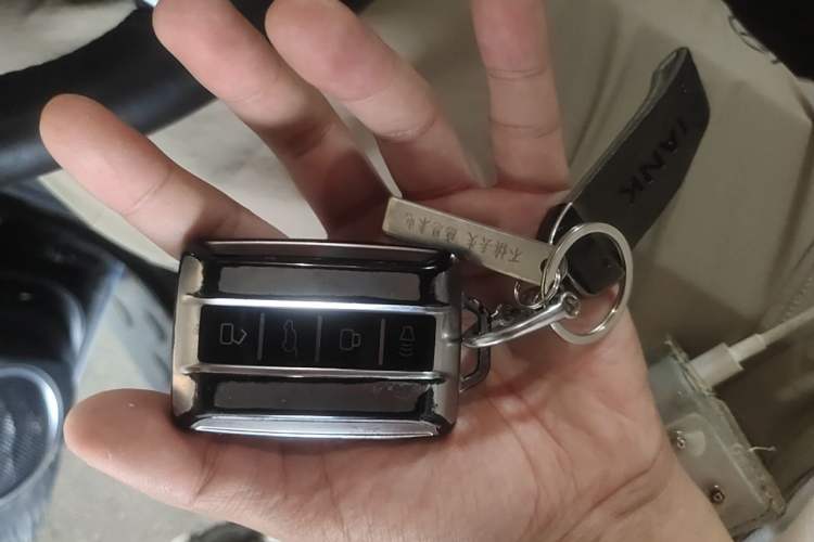 Used Tank 300 2024 2.0T Conqueror Vehicle Key
