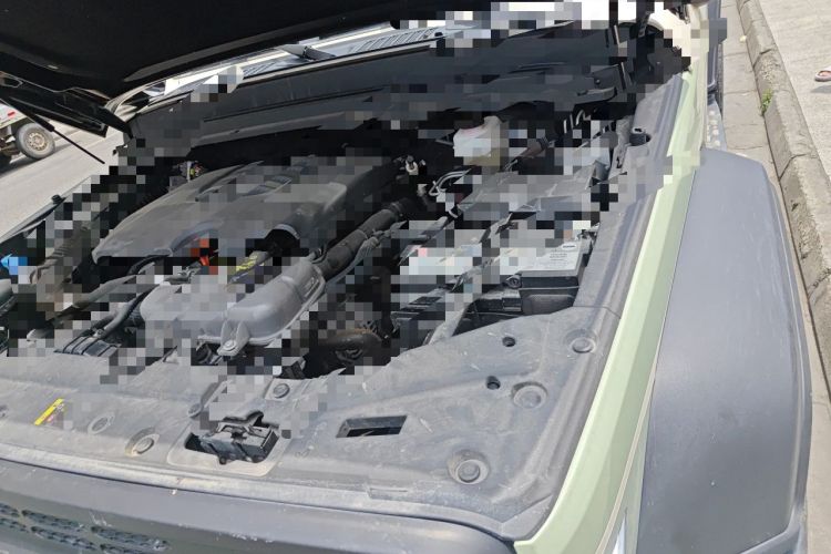 Used Tank 300 2024 2.0T Conqueror Engine Bay Left