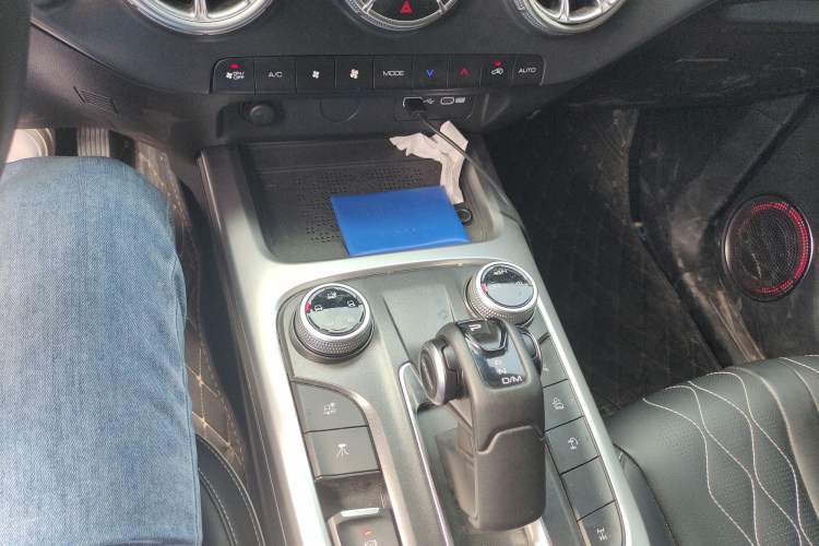 Used Tank 300 2024 2.0T Challenger Gear Lever
