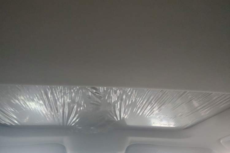 Used Tank 300 2024 2.0T Conqueror Headliner