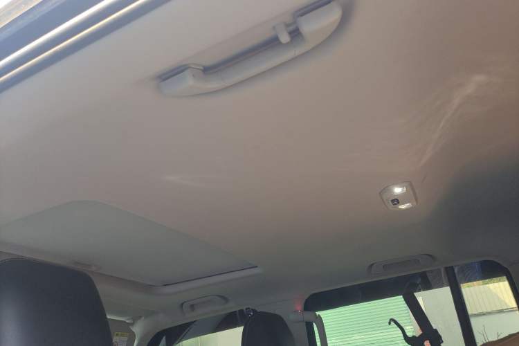 Used Tank 300 2024 2.0T Challenger Headliner