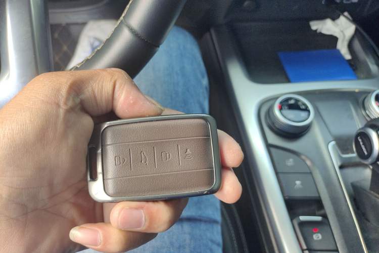 Used Tank 300 2024 2.0T Challenger Vehicle Key